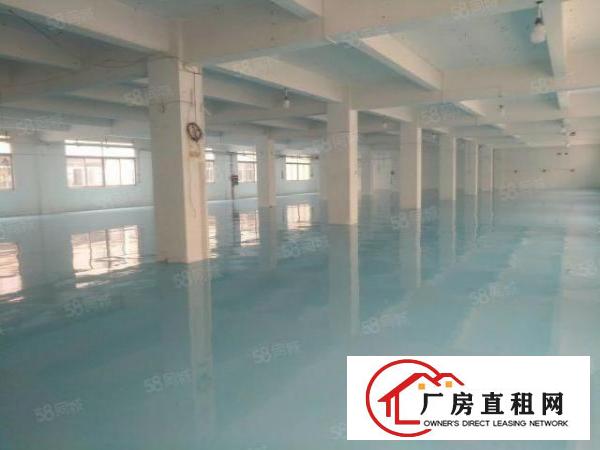  东城桑园工业区1700平方米全新装修的厂房13元拎包入住