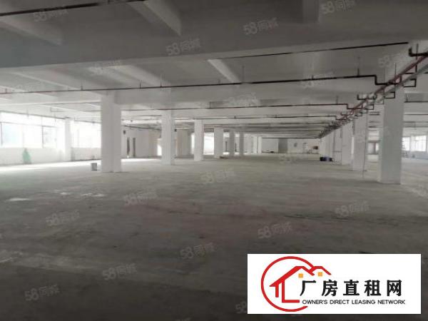  急租,东城新出原房东一楼带环评800平厂房出租，租金便宜