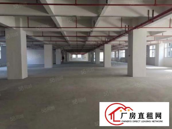  急租,东城新出原房东一楼带环评800平厂房出租，租金便宜