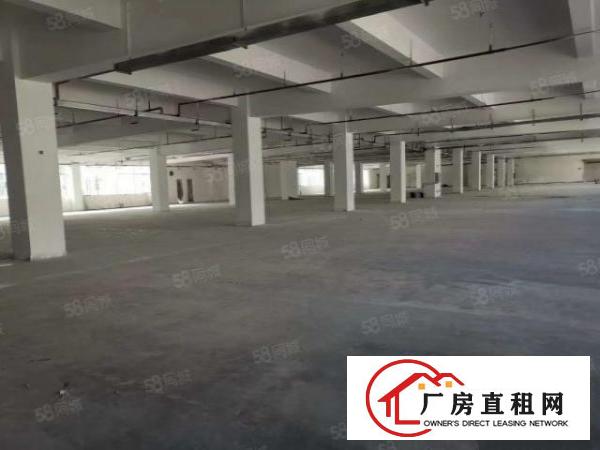  急租,东城新出原房东一楼带环评800平厂房出租，租金便宜