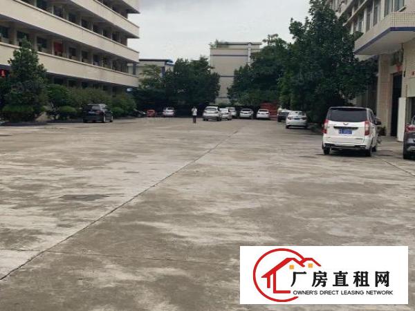  东城新出原房东带装修小面积标准厂房