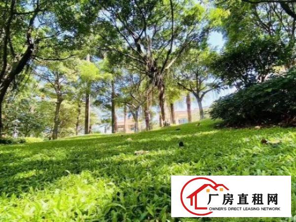 南城中心区占地60亩，建筑面积2万。