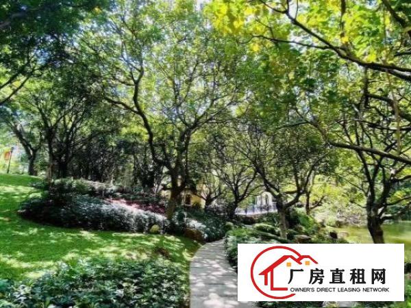  南城中心区占地60亩，建筑面积2万。