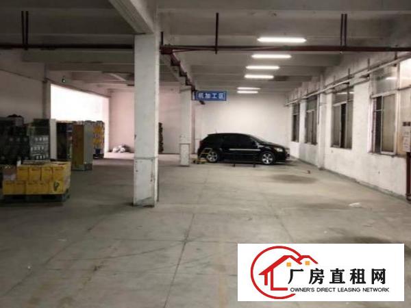  南城石鼓运河路边上600平厂房可进拖挂，车位充足