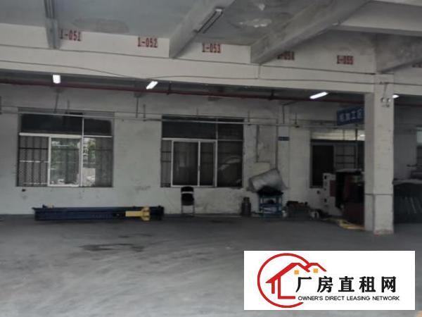  南城新出厂房一楼600平，独院，内有停车位，层高4米半