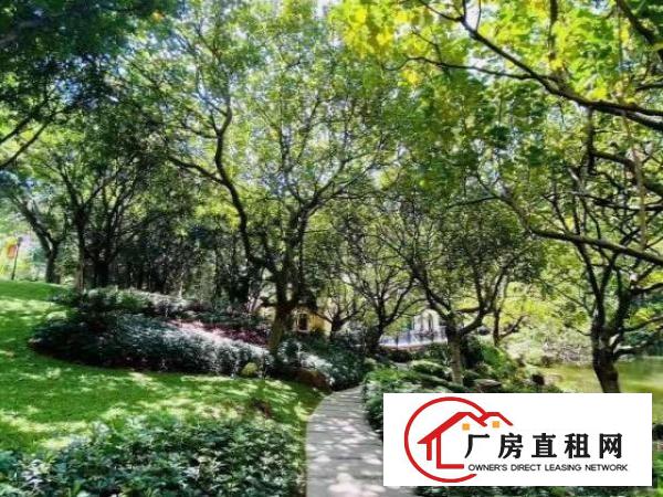  出租南城街道西平中心区靓厂