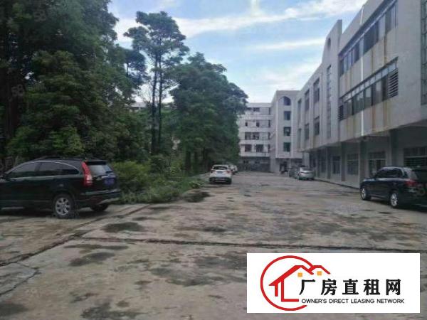  南城西平标准厂房出租二楼500平方，现成装修水电