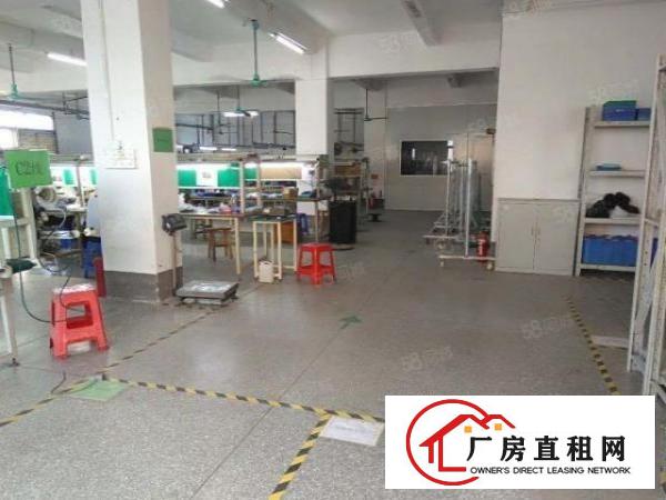  南城车站附近搬空独门独院厂房850平出租，形象超靓