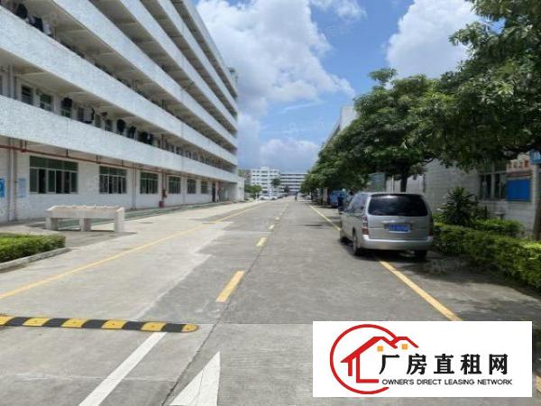  清溪金桥工业园2万平厂房出租精装修一楼仓房300平起分租