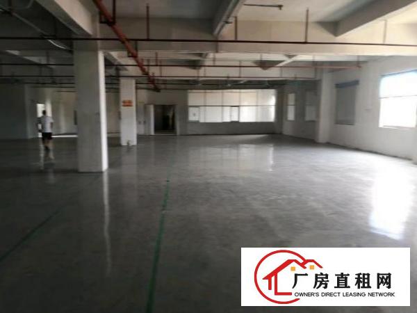  出租—南层白马三楼1000平米