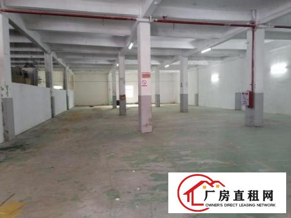  出租—南城环城路旁边标准厂房850平米