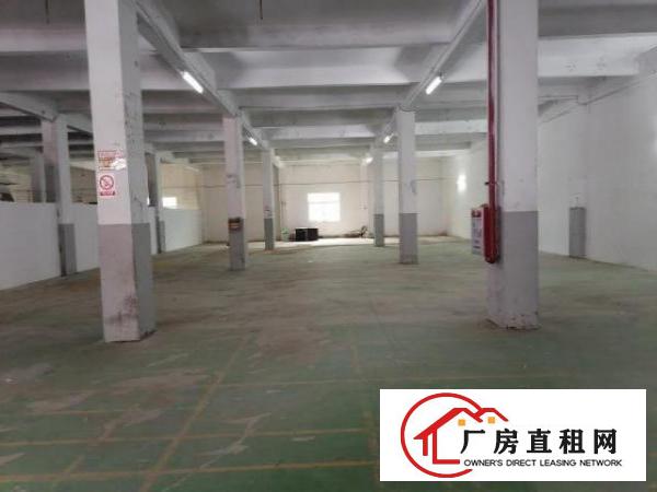  出租—南城环城路旁边标准厂房850平米