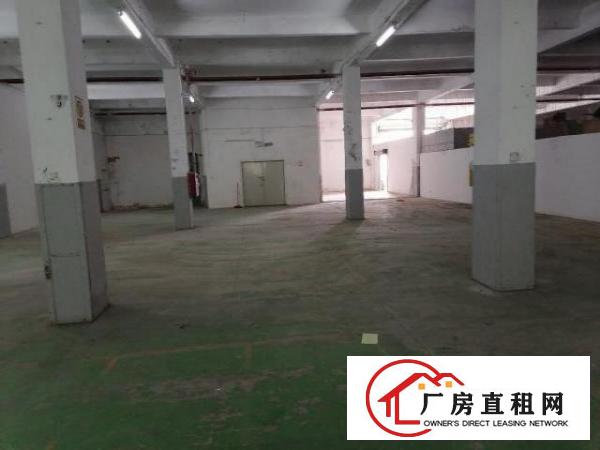  出租—南城环城路旁边标准厂房850平米