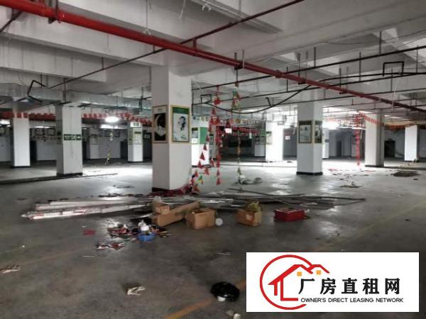  出租南城厚街交界（水濂山附近）厂房