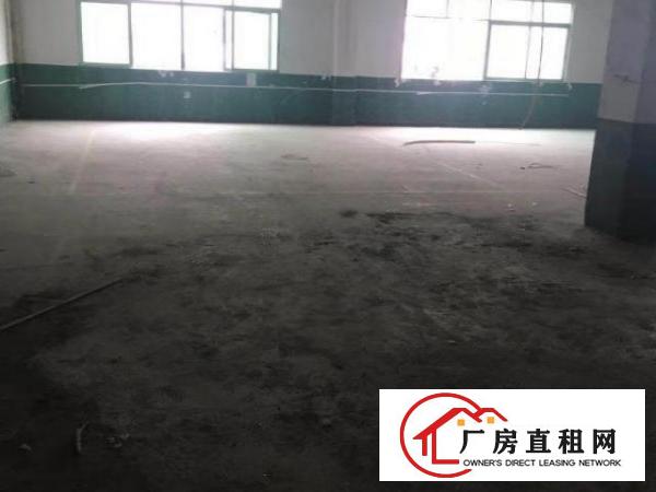  南城工业园大量新出小型厂房物流仓库出租-带装修