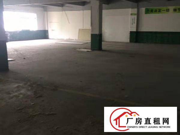  南城工业园大量新出小型厂房物流仓库出租-带装修