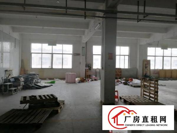  南城蛤地标准厂房一楼1300平，带现成豪华装修