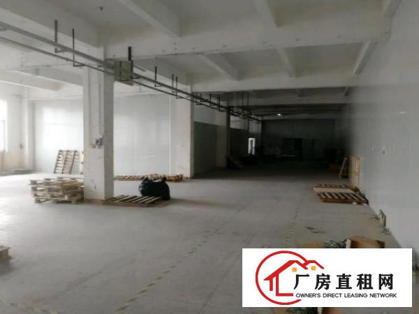  南城蛤地标准厂房一楼1300平，带现成豪华装修