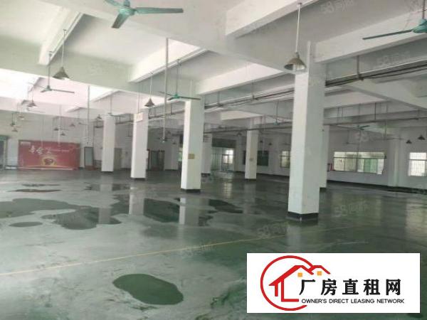  南城私人房东独院厂房出租，6100平方，现成装修，形象大气！