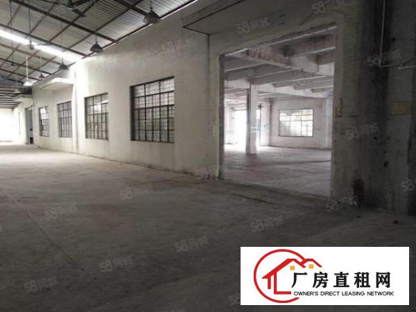  南城石鼓一楼标准350平，900平，1500平几个仓库仓库