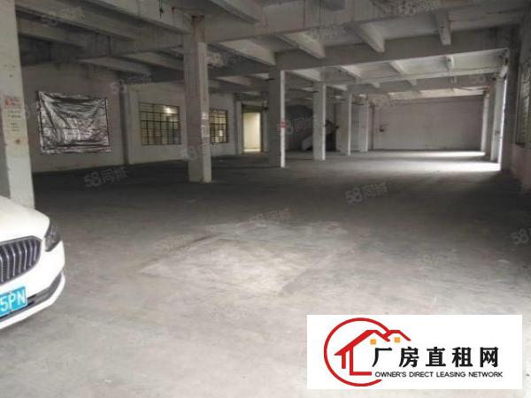  南城石鼓一楼标准350平，900平，1500平几个仓库仓库
