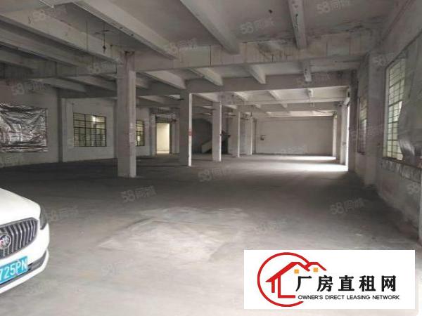  南城石鼓一楼标准350平，900平，1500平几个仓库仓库