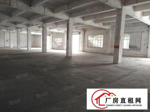  南城石鼓一楼标准350平，900平，1500平几个仓库仓库