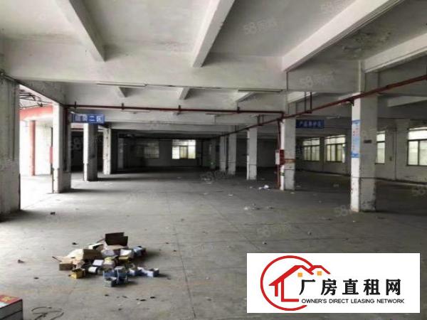  南城西平独门独院原房东厂房出租700平方无公摊，办公室水电全