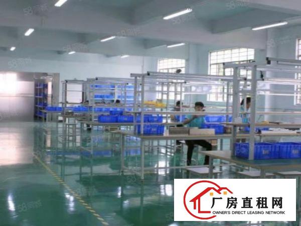  无尘车间！南城马路边一楼1220平位置好形象靓精装修水电齐全
