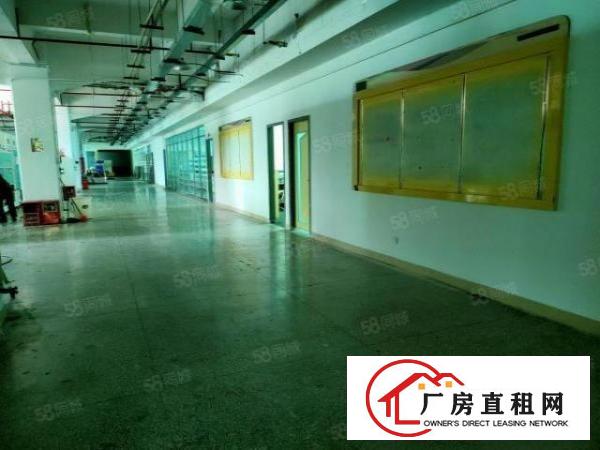  南城蛤地草塘工业园新出标准独门独院厂房2360平360平起分