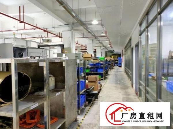  南城蛤地草塘工业园新出标准独门独院厂房2360平360平起分