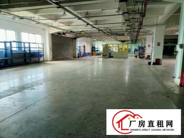  南城蛤地草塘工业园新出标准独门独院厂房2360平360平起分