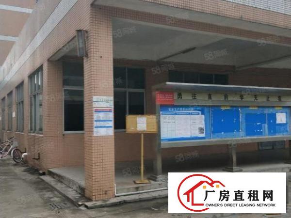  南城周溪经典独院一层1100平方位置好，空地大