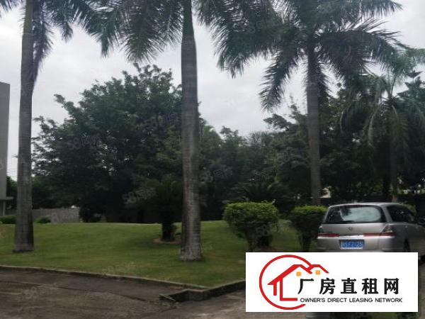  南城周溪经典独院一层1100平方位置好，空地大
