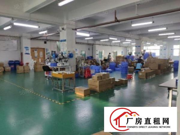  南城西平大马路边标准厂房590平，水电齐全，带装修！