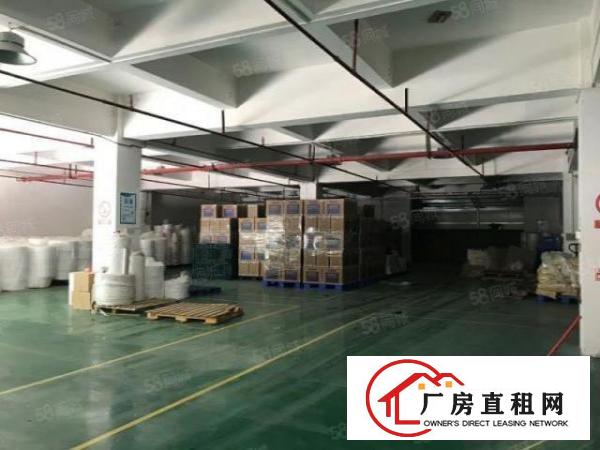  南城西平大马路边标准厂房590平，水电齐全，带装修！