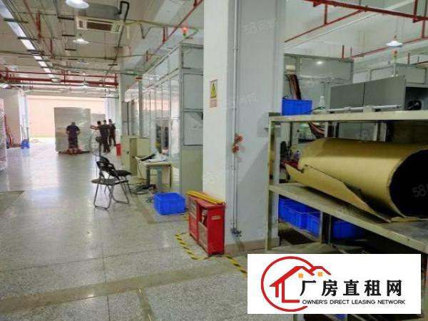  南城原房东标准独院厂房仓库出租一楼1250平，形象靓租金实惠