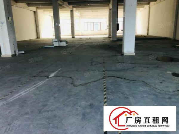  南城草塘工业园标准厂房分租600平方
