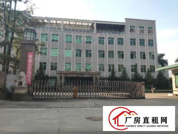  南城新出标准厂房一楼1260平，带环评，有电梯，水电齐全！