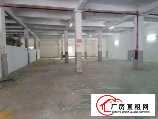  急租！南城袁屋边工业区搬空办公贸易电子商务场地出租897平方
