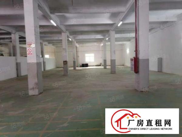  急租！南城袁屋边工业区搬空办公贸易电子商务场地出租897平方