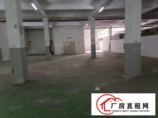  急租！南城袁屋边工业区搬空办公贸易电子商务场地出租897平方