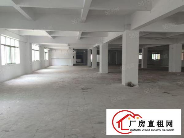  南城蛤地园区一楼1300平厂房出租工业用地可办环评水电齐全