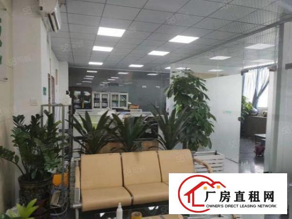  清溪金桥工业园2万平厂房出租精装修一楼仓房300平起分租