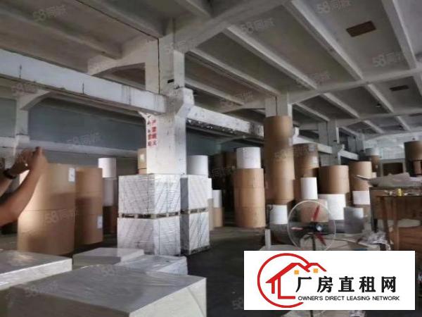  出租塘厦三中新出原房东独院一楼2800平带牛角有精装修办公