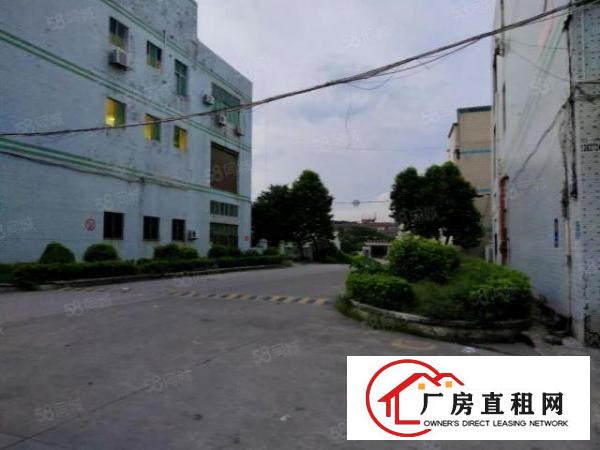  出租|雁田布心工业园区原房东4527平标准厂房出租实际面积出