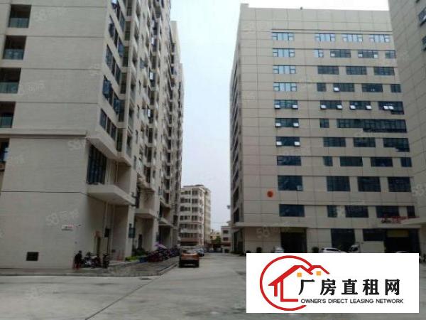  塘厦工业园区原房东带红本2000平厂房出租带精装修可分租