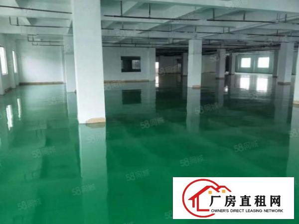  塘厦工业园区原房东带红本2000平厂房出租带精装修可分租