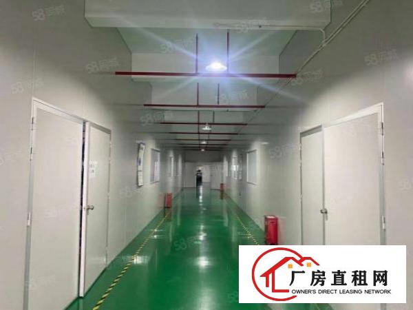  企石南坑工业园2万平厂房出租精装修一楼仓房300平起分租