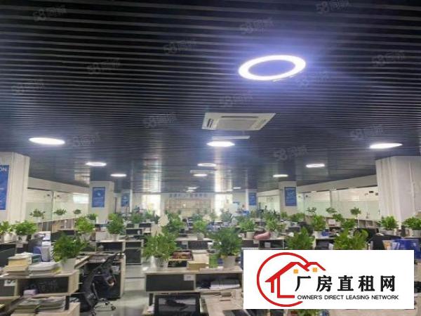  企石南坑工业园2万平厂房出租精装修一楼仓房300平起分租